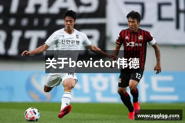 关于bevictor伟德
